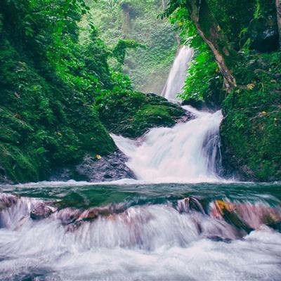 高管在菲遭撕票 嫌犯