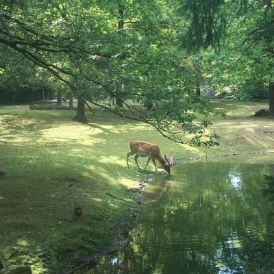 26亿元民生项目面临流产