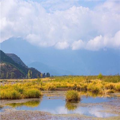 “一针治癌”？让公众认清“神医”的真面目