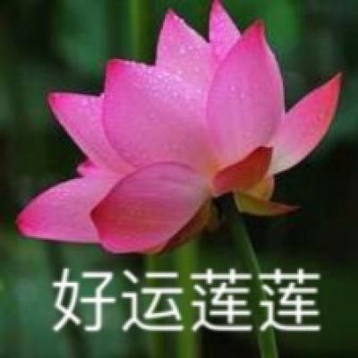 武大法学院院长：做一个有常识的专业法律人，每个人都是“不一样的烟火”